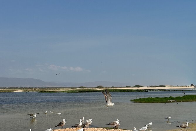 Historical Salalah City Tour - Sultan Qaboos Palace From The Outside