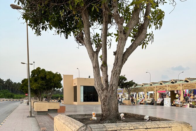 Historical Salalah City Tour - Al Baleed Museum And The Land Of Frankincense