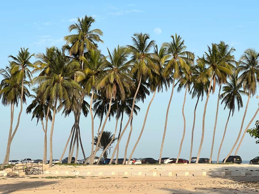 Historical Salalah City Tour with Culture, Food & Shopping - Why this four-hour route works