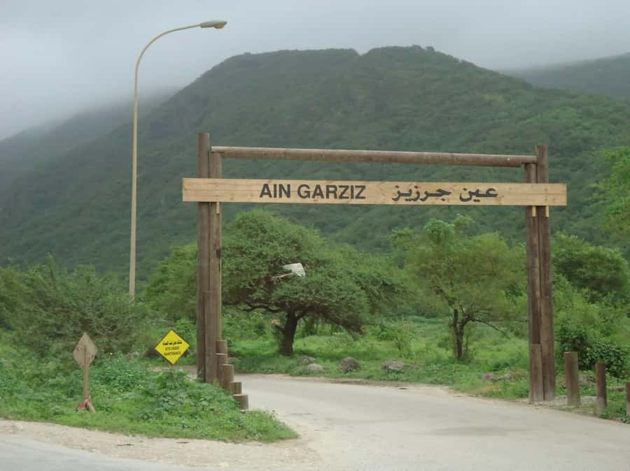 Historical Salalah City Tour with Culture, Food & Shopping - Starting at Sultan Qaboos Mosque