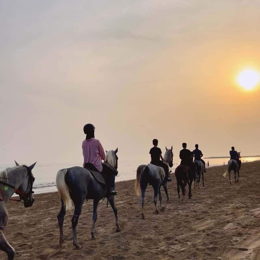 Horse riding in muscat beach - Key points to know before you book