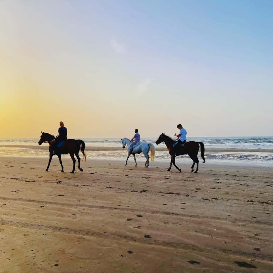 Horse riding in muscat beach - A beach ride close to Muscat’s airport
