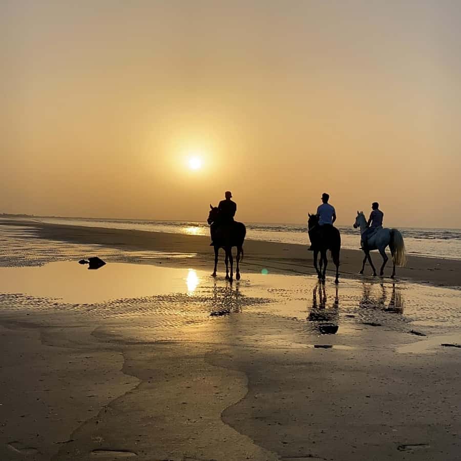 Horse riding in muscat beach - Why sunset is the best time to ride
