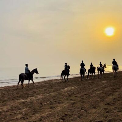 Horse riding in muscat beach