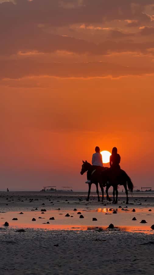 Horse Riding Muscat | Beach Horse Riding - Key points to know before you book