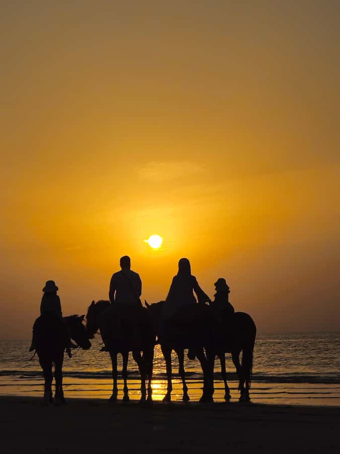 Horse Riding Muscat | Beach Horse Riding - Why beginners may feel comfortable