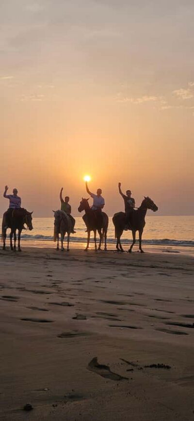 Horse Riding Muscat | Beach Horse Riding