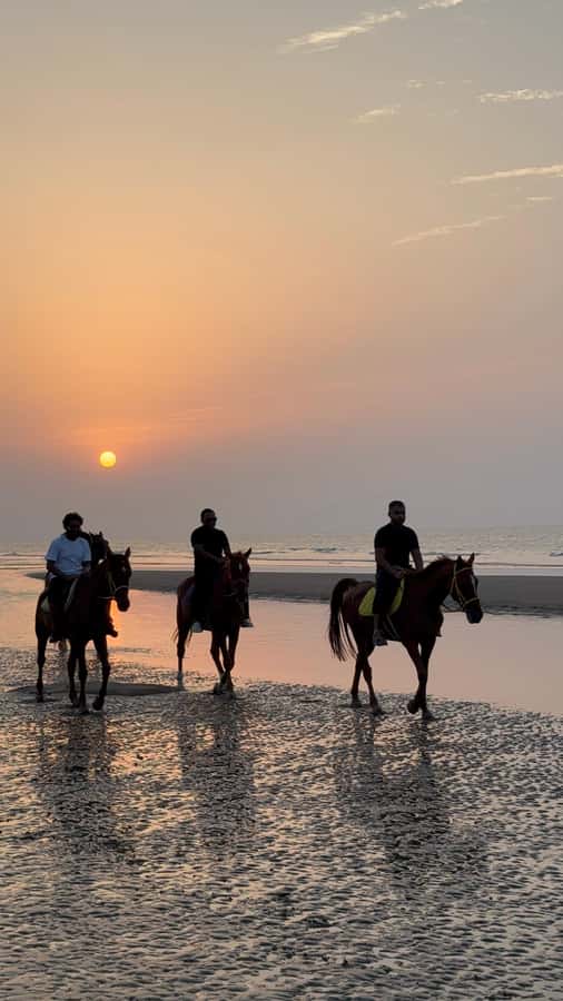 Horse Riding Muscat | Beach Horse Riding - The guides and the personal touch