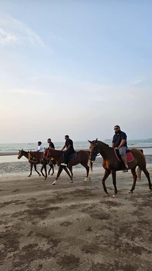 Horse Riding Muscat | Beach Horse Riding - How the price compares with the experience
