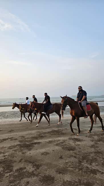 Horse Riding Muscat | Beach Horse Riding - The listed coffee and hiking elements