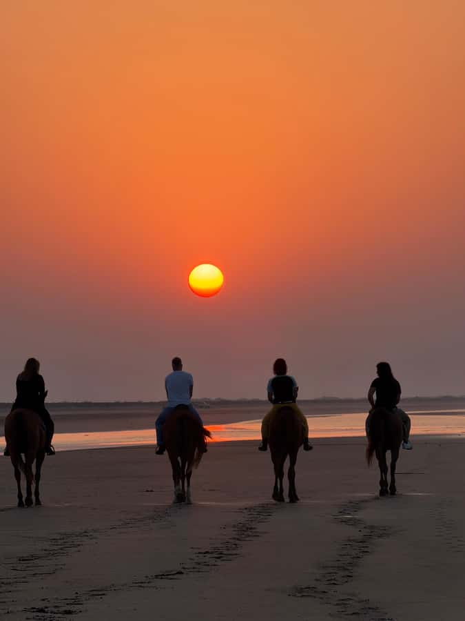 Horse Riding Muscat | Beach Horse Riding - Who should book this beach ride