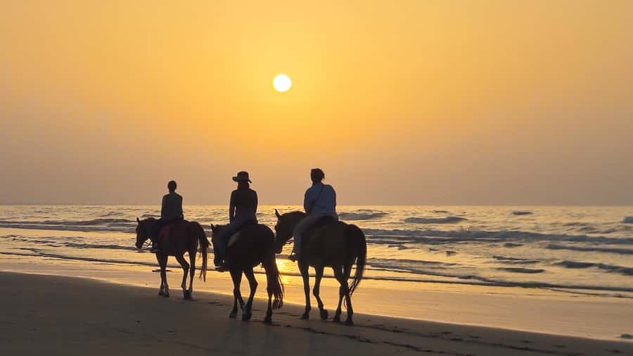 Horse Riding Oman - 2 hour ride - Trotting for More Experienced Riders