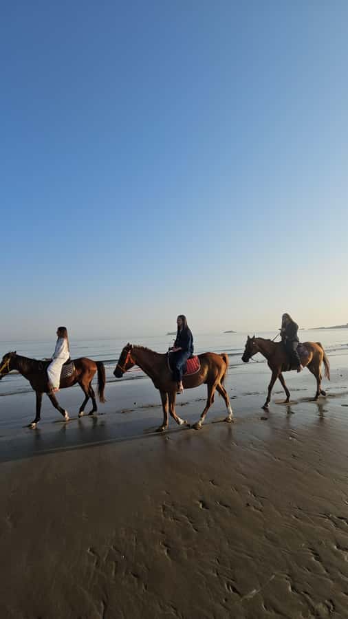 Horse Riding Oman - 2 hour ride - What the $140 Price Really Buys You