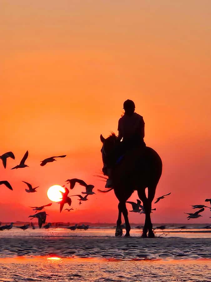 Horse Riding Oman - 2 hour ride - Who Will Enjoy This Ride Most