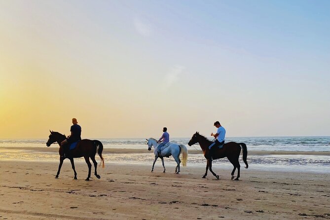Horse Riding on the beach - Key points to know before you book