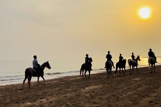 Horse Riding on the beach - Why a six-person maximum helps