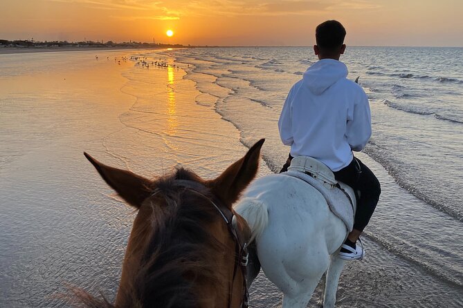 Horse Riding on the beach - The real value of the $72 price