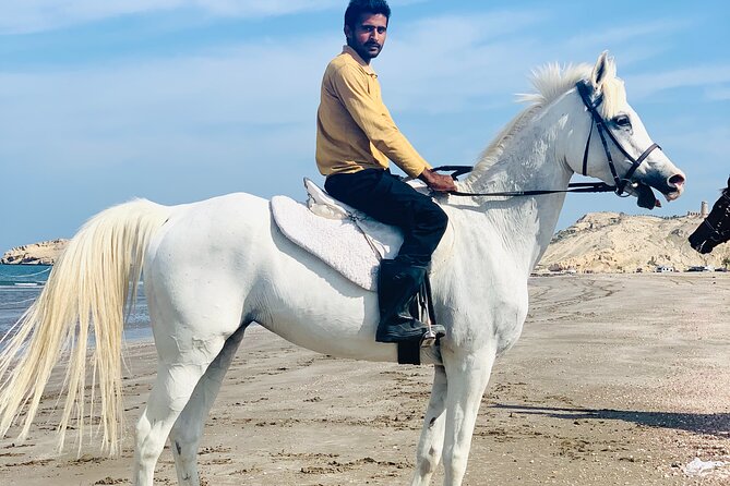 Horseback Riding Muscat Beach - Riding Along Al Sawadi Beach Near Muscat