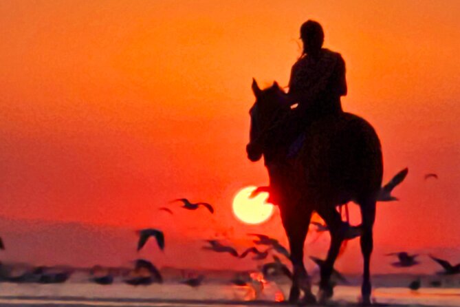 Horseback Riding Muscat Beach - Safety, Equipment, and Physical Demands