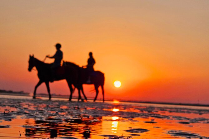 Horseback Riding Muscat Beach - The Value of $76.66