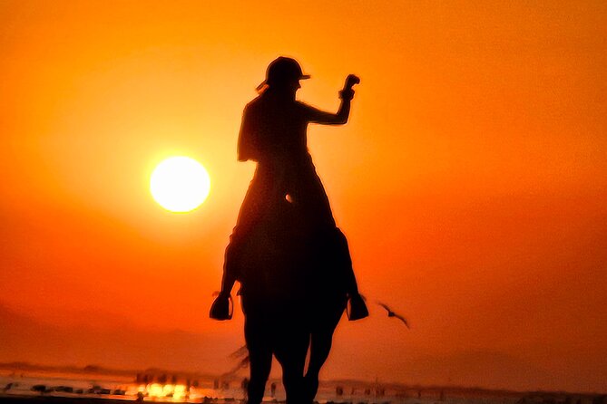 Horseback Riding Muscat Beach - Practical Tips Before You Go
