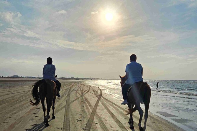 Horseback Riding Muscat Beach - What Happens During the One-Hour Ride