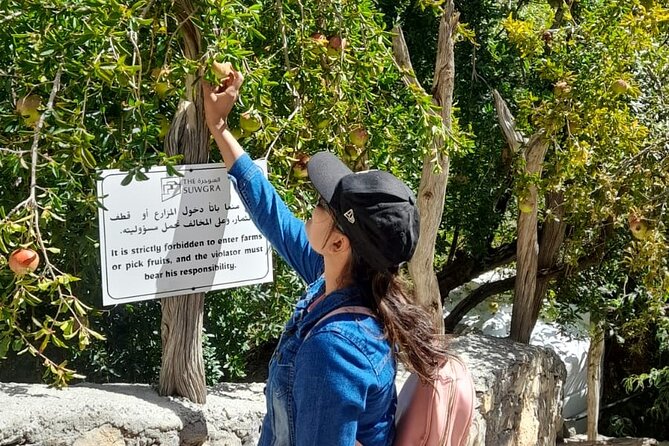 Jebel Akhdar Al Suwjara - Birkat Al Mouz Ruins - Private Full Day Tour - Key points to know before booking