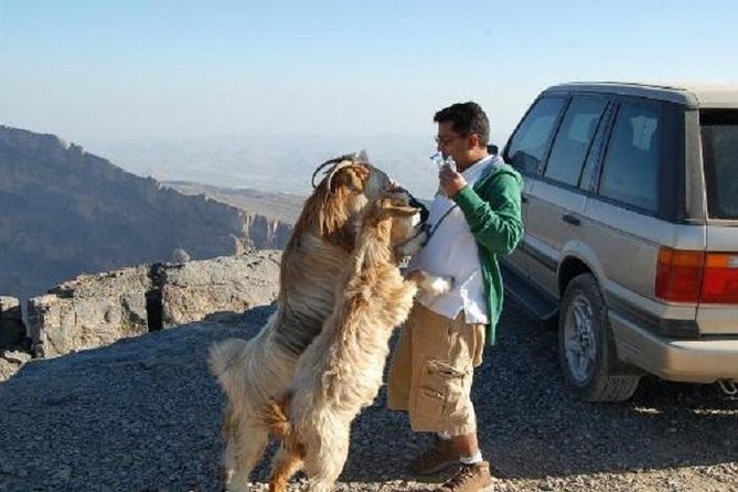 Jebel Shams Day Trip: The Grand Canyon of Oman - Why Jebel Shams is worth the long day