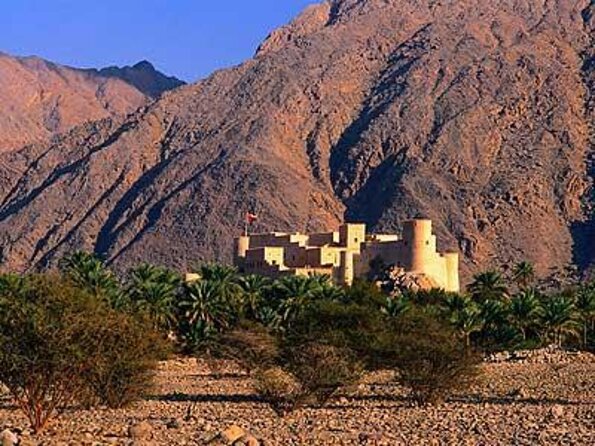 Khasab Full Day Dhow Cruise With Enjoying Snorkeling, Lunch & Dolphin Watching - Key things to know before booking