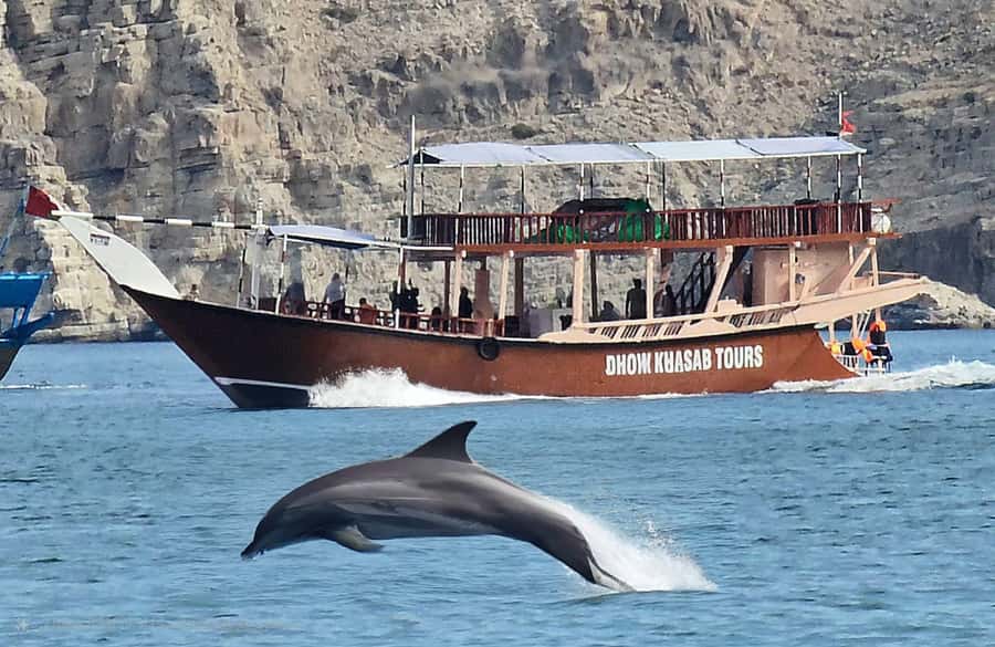 Khasab: Half-Day Dhow Cruise, Dolphin Watching, & Snorkeling - Key Things to Know Before You Go