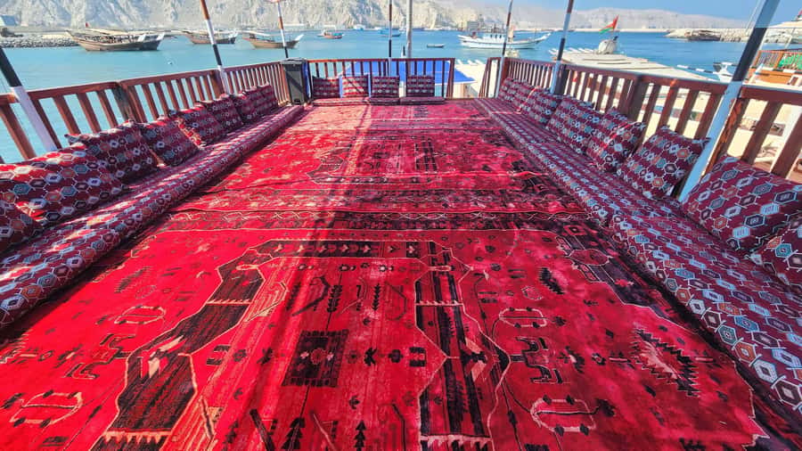 Khasab: Half-Day Dhow Cruise, Dolphin Watching, & Snorkeling - Who Will Enjoy This Cruise Most?