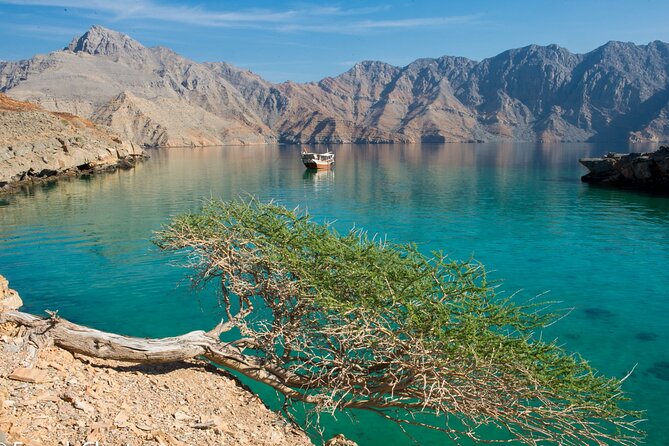 Khasab Musandam Half Day Dhow Cruise - Meeting up in Khasab and getting on board