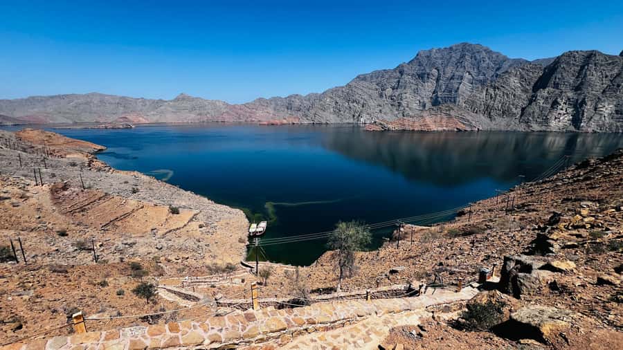 Khasab Musandam |Telegraph Island |Dhow Cruise | Dolphins - Food, drinks, and the crew