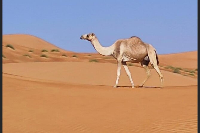 Luxury Overnight Desert Safari in Salalah - Entering the Empty Quarter by 4WD