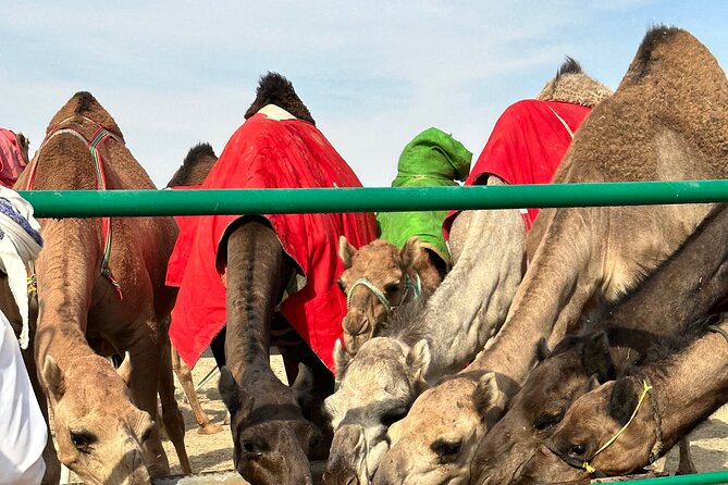Luxury Overnight Desert Safari in Salalah - Sunset with coffee, dates, and wide-open dunes