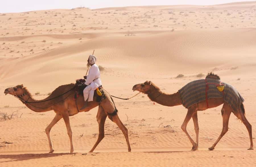 Luxury Overnight Desert Safari in Salalah - Guides, vehicles, and the human side of the trip