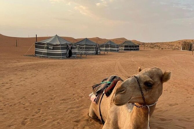 Luxury Overnight Desert Safari in Salalah - From Salalah toward Wadi Dawkah