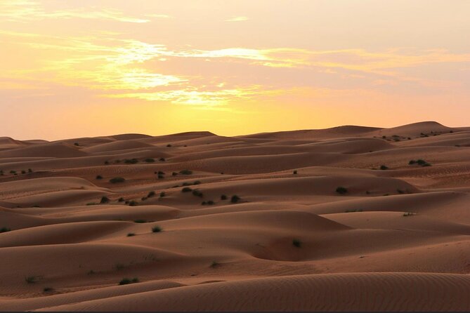 Luxury Sunset Desert Safari - From Salalah’s greener edge toward the Empty Quarter