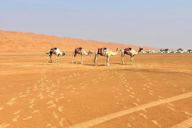 Luxury Sunset Desert Safari - Rub Al Khali and the real off-road action