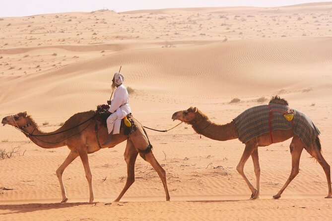 Luxury Sunset Desert Safari - Sunset, Arabic coffee, and a quiet finish