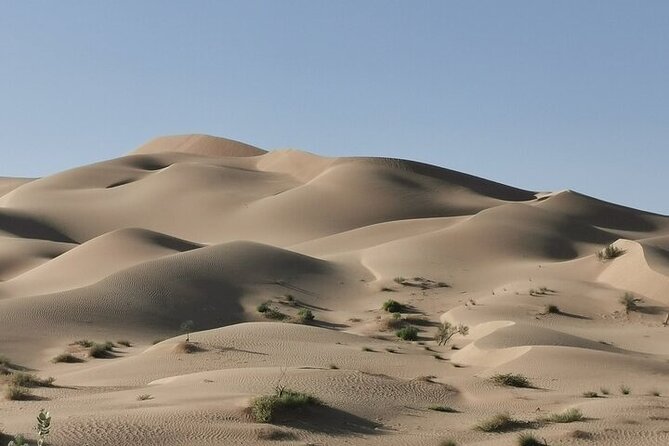 Luxury Sunset Desert Safari - Guides make or break this long day