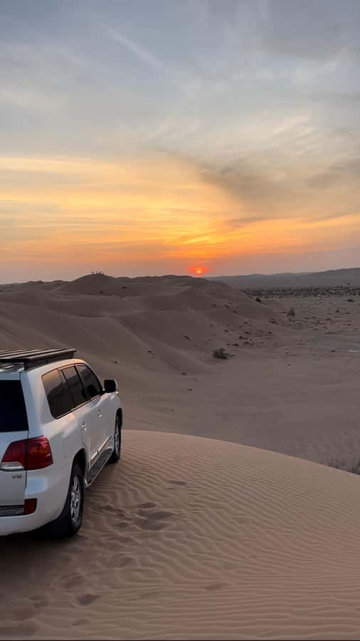 Magical Desert Safari By Land Cruise in Empty Quarter - Frankincense in Its Natural Setting