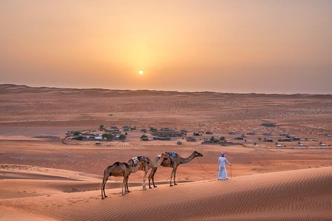 Mountain, Desert & Coastal Tour (03 Days / 02 Nights) - Who should book this Oman tour?