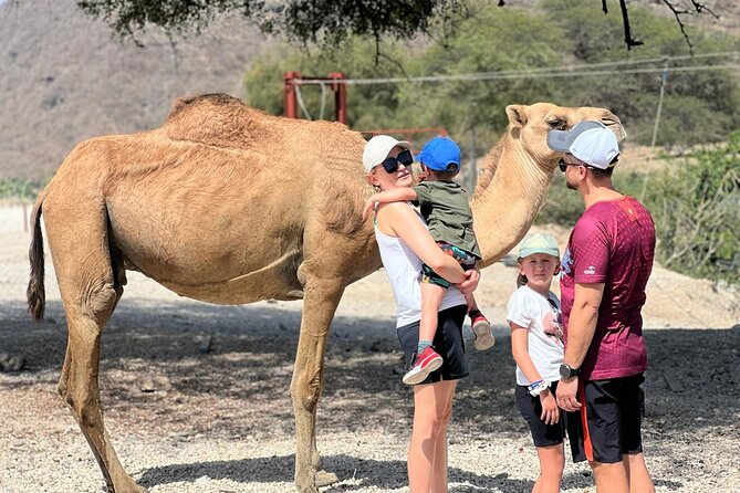 Mountain Safari, Camels, waterfalls & lunch (Group Tour) - Two hours among Wadi Darbat’s water and cliffs