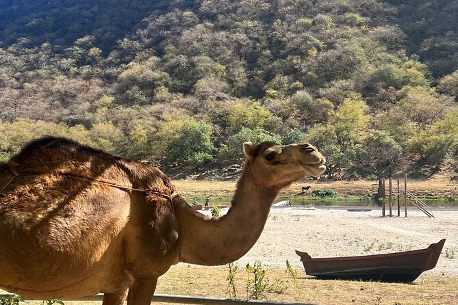 Mountain Safari, Camels, waterfalls & lunch (Group Tour) - Jabal Samhan and the wide Dhofar view