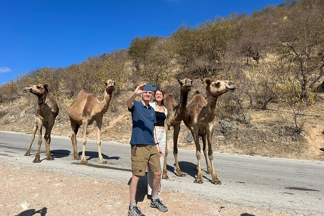Mountain Safari, Camels, waterfalls & lunch (Group Tour) - Baobabs in Wadi Hannah