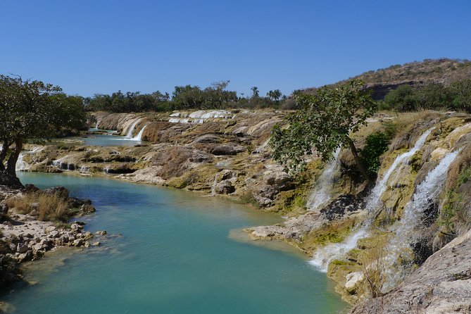 Mountain Tour - Darbat falls, Jebel Samhan, sinkholes, baobabs - Wadi Darbat: Water, Greenery, and Free-Roaming Camels