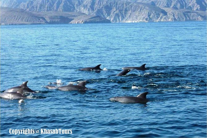 Musandam Khasab Day Trip and Dhow Cruise from Dubai - Khasab town, fort, and what you may see nearby
