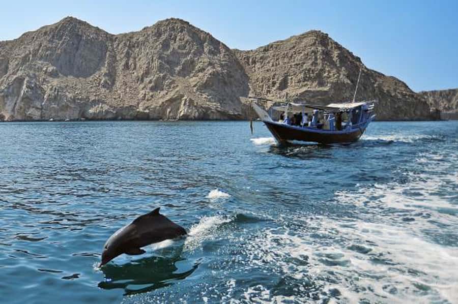 Musandam Khasab Full-Day Cruise with Transfers & Lunch - Why Musandam makes a strong day trip