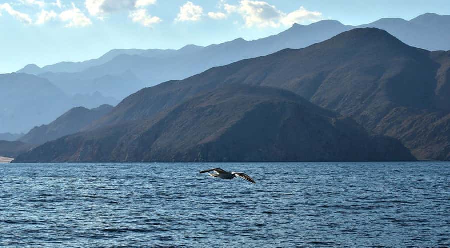 Musandam Khasab Full-Day Cruise with Transfers & Lunch - The afternoon return to Khasab